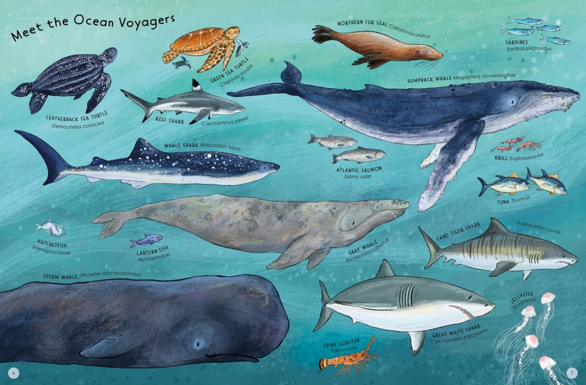 Cover image for Ocean Voyagers ISBN 9781804539125